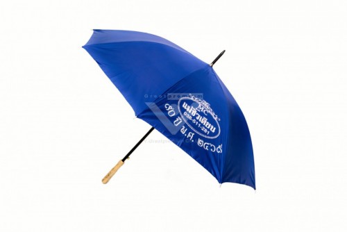 Umbrella with Wood Holder